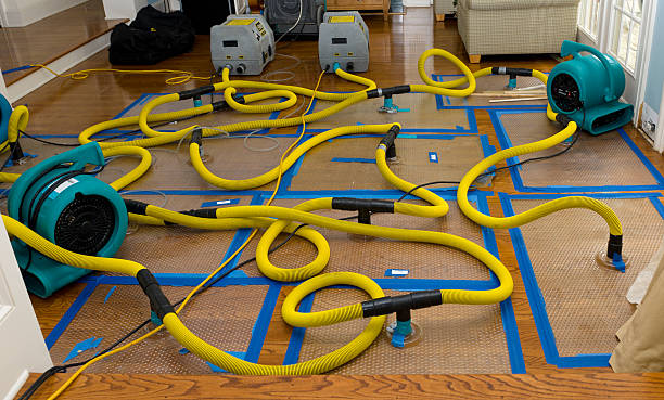 Professional Sewage Cleanup technician working in Salisbury, NC